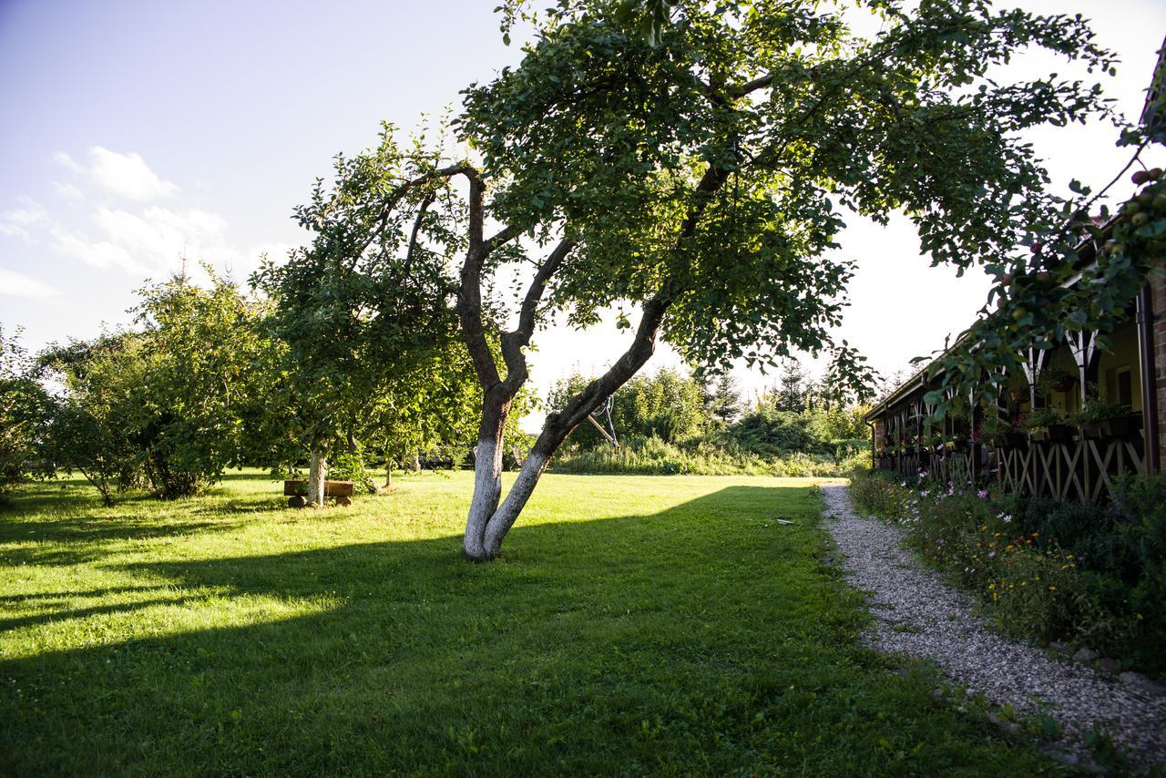 Siedlisko Sabinowo Villa Węgorzewo Kültér fotó