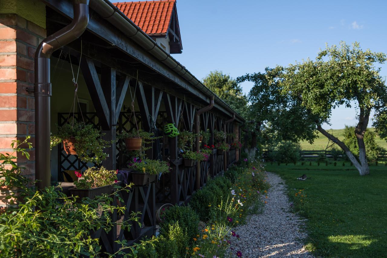 Siedlisko Sabinowo Villa Węgorzewo Kültér fotó